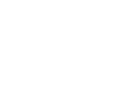Minority Business Enterprise